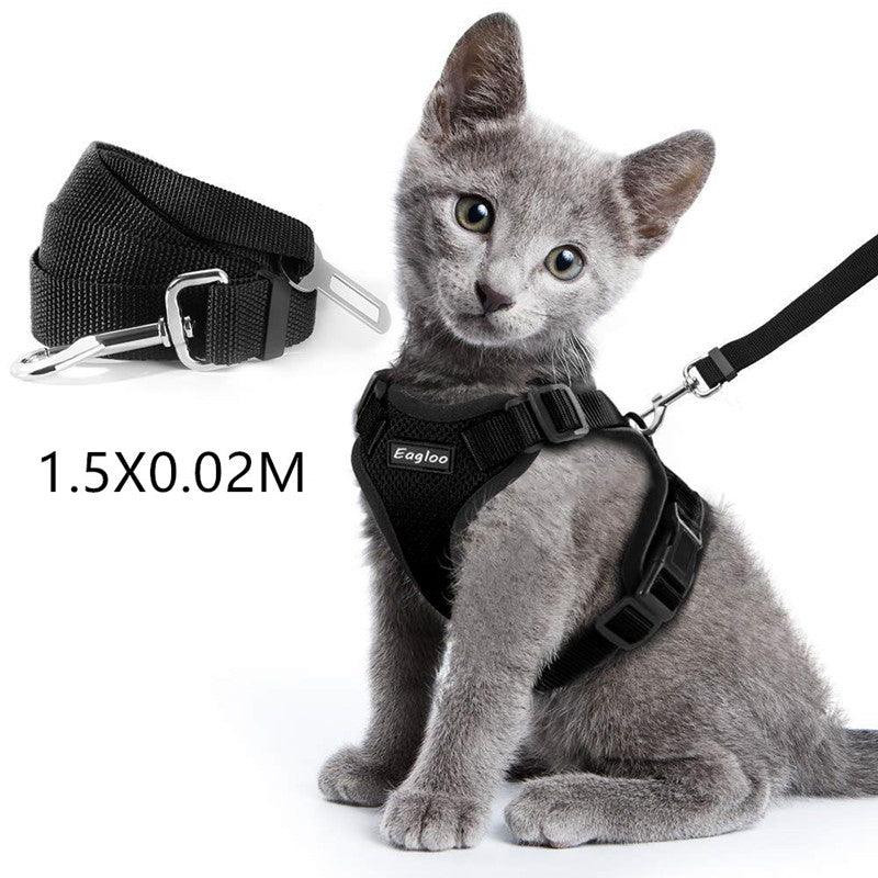 EscapeGuard sikkerhetssele med bilbeltefeste til katt – justerbar, refleks og rømningssikker 🐾