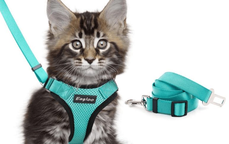 EscapeGuard sikkerhetssele med bilbeltefeste til katt – justerbar, refleks og rømningssikker 🐾