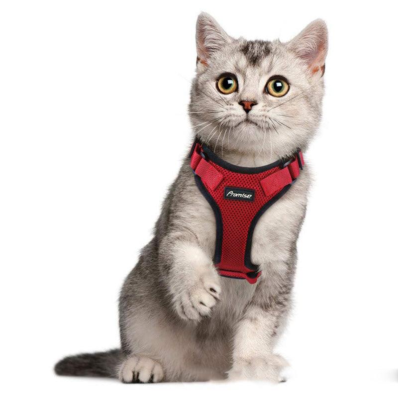EscapeGuard sikkerhetssele med bilbeltefeste til katt – justerbar, refleks og rømningssikker 🐾