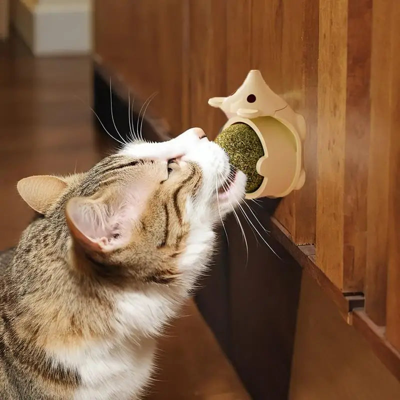 Pinnsvin-leke med kattemynte