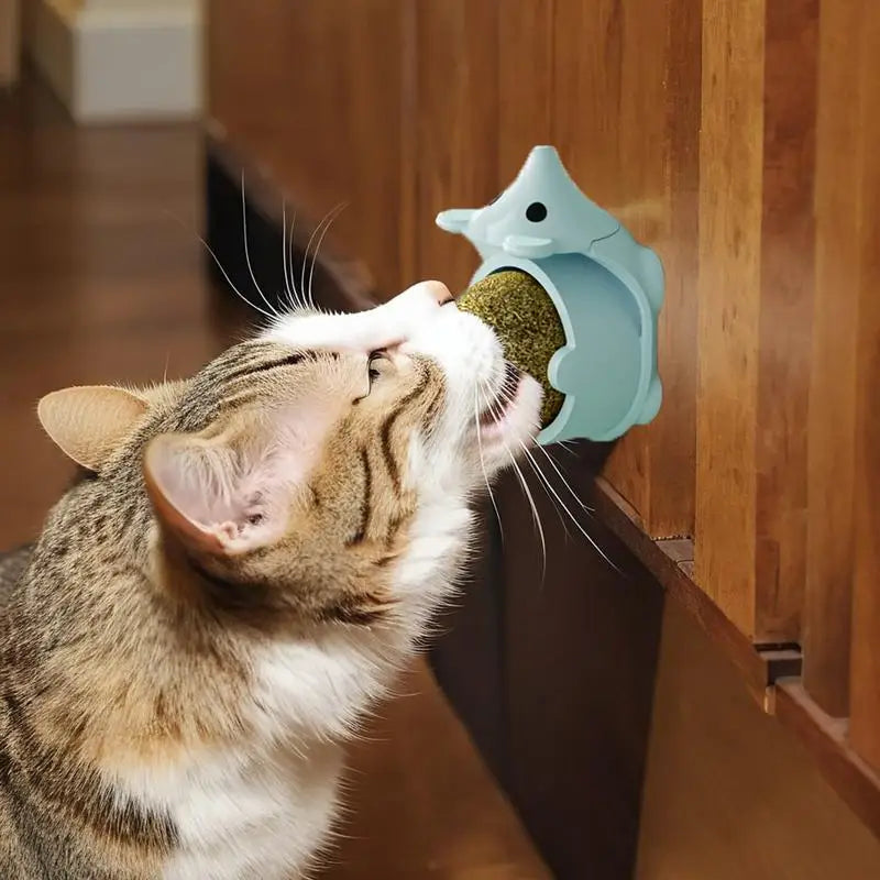 Pinnsvin-leke med kattemynte