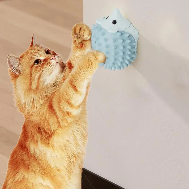 Pinnsvin-leke med kattemynte