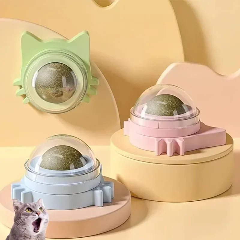 🐱 Interaktiv kattemynteball til vegg – aktivisering og egenpleie