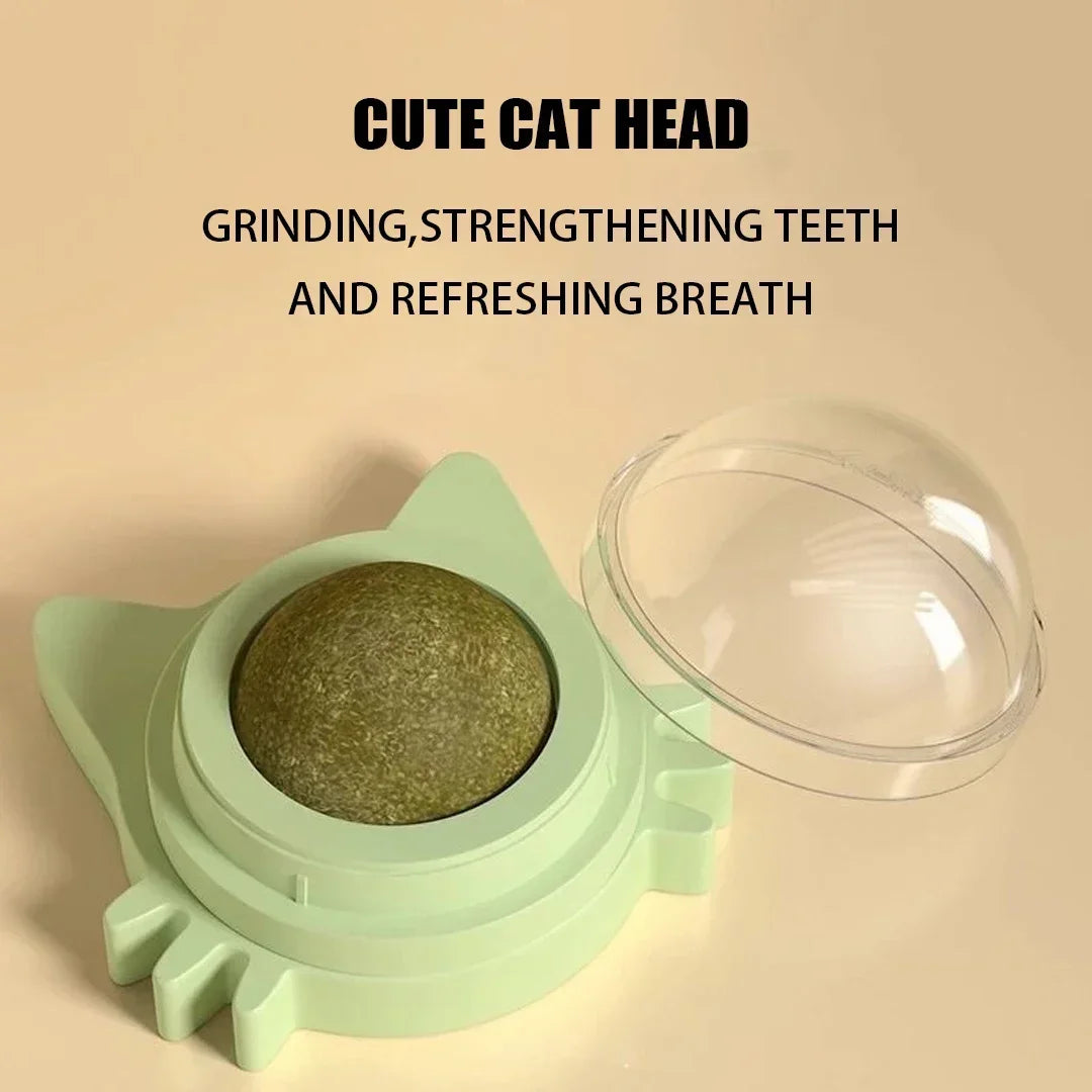 🐱 Interaktiv kattemynteball til vegg – aktivisering og egenpleie