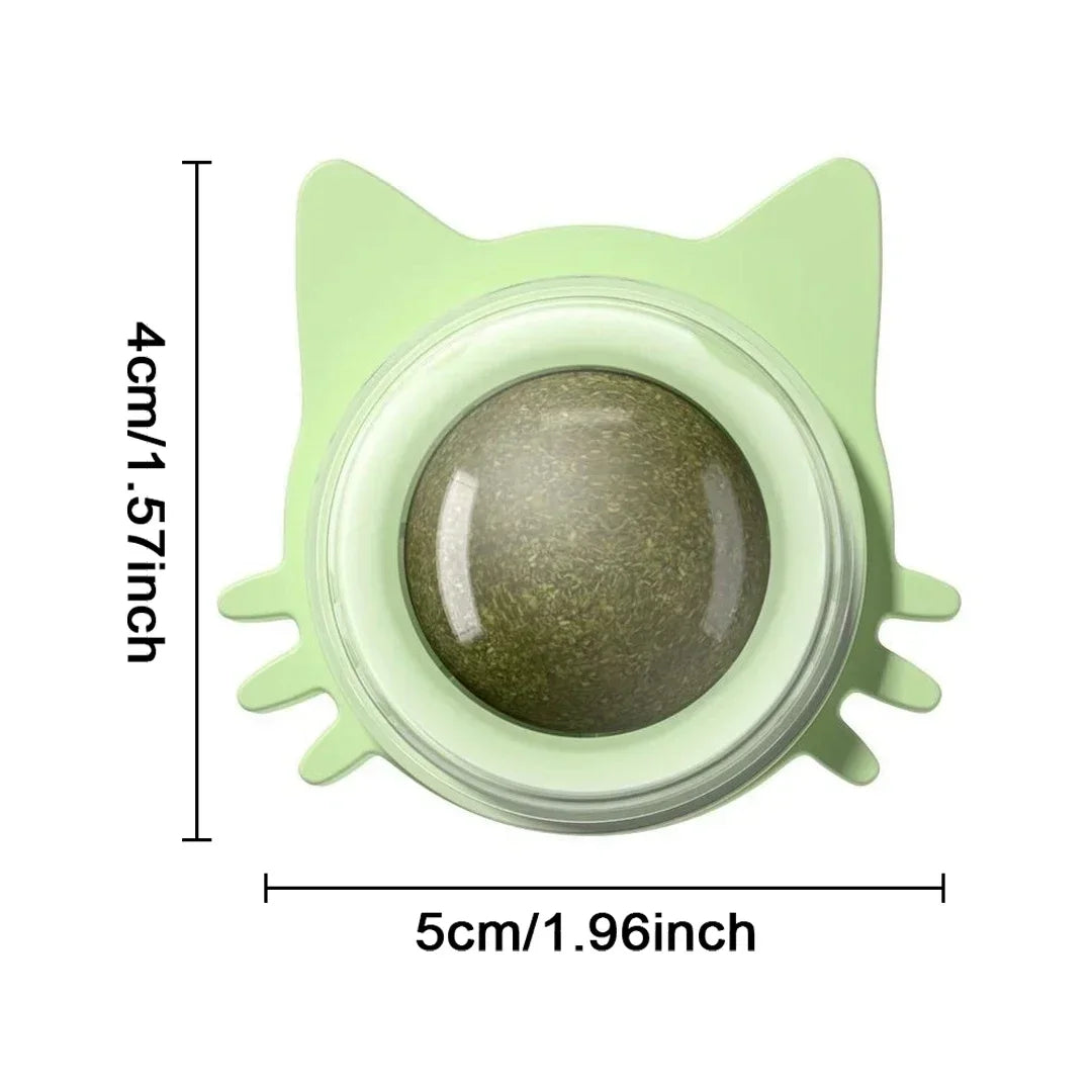 🐱 Interaktiv kattemynteball til vegg – aktivisering og egenpleie