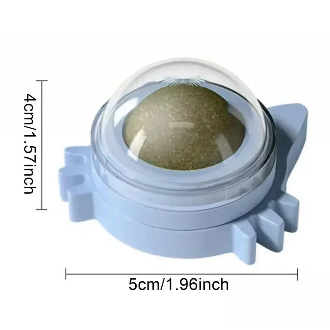 🐱 Interaktiv kattemynteball til vegg – aktivisering og egenpleie