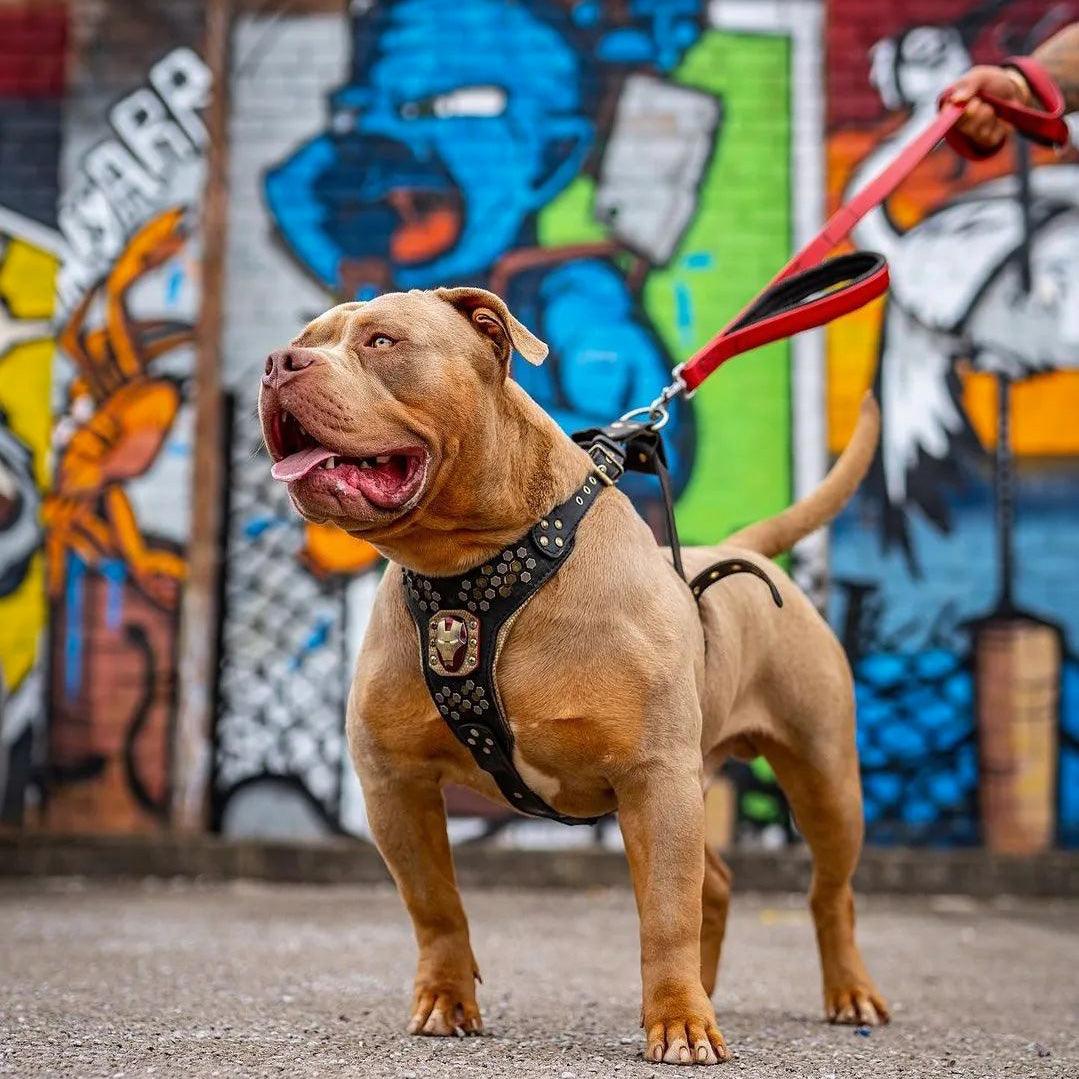 BESTIA Dog Sport hundebånd med dobbelthåndtak – rød