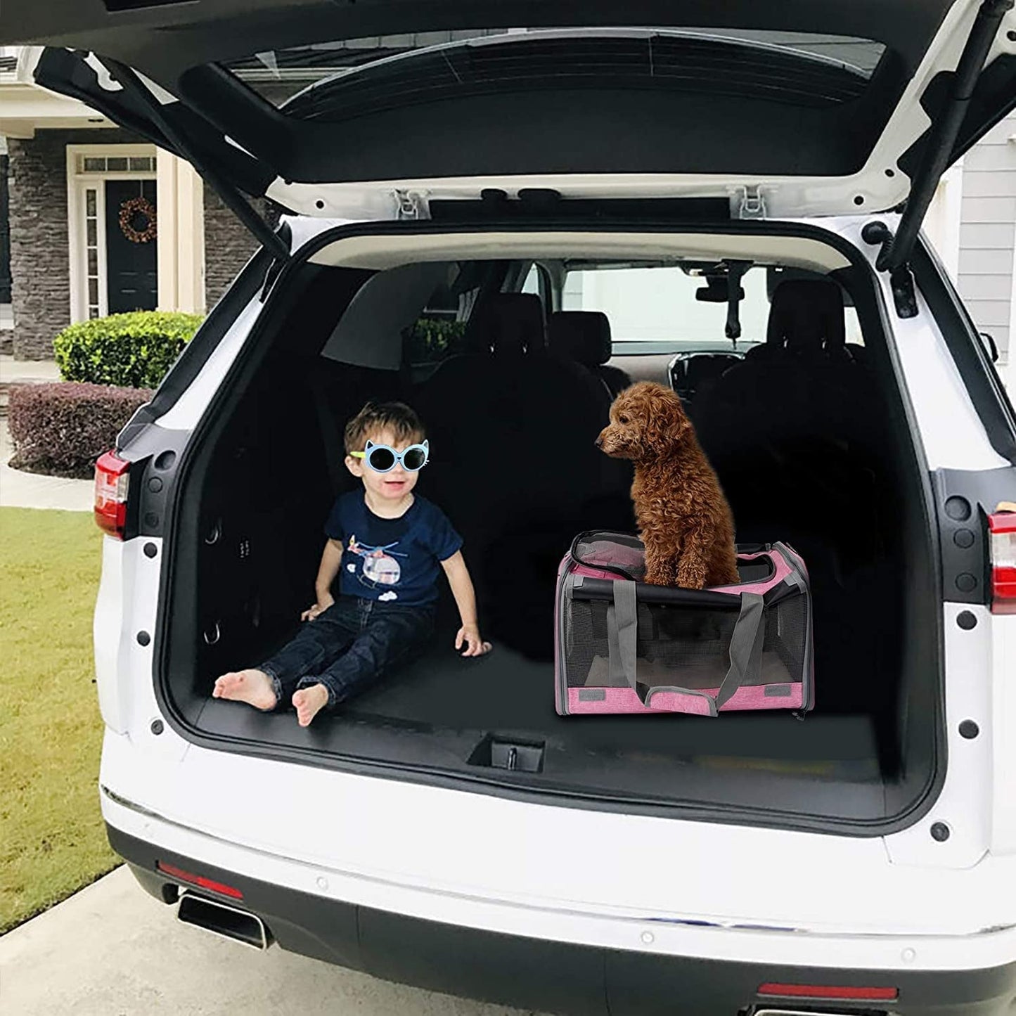 Spacious Soft-Sided Pet Carrier-3