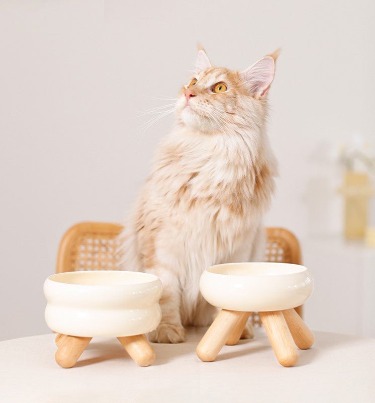 Keramisk vannskål med trestativ – opphøyet design for hund og katt 🐶🐱