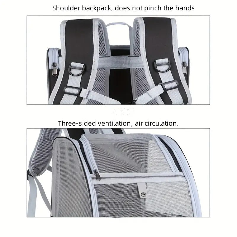 Utvidbar katte-ryggsekk med 3-sidig netting