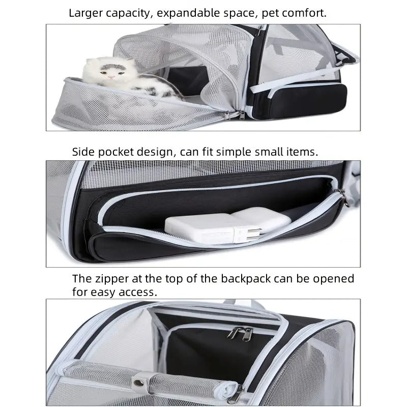 Utvidbar katte-ryggsekk med 3-sidig netting